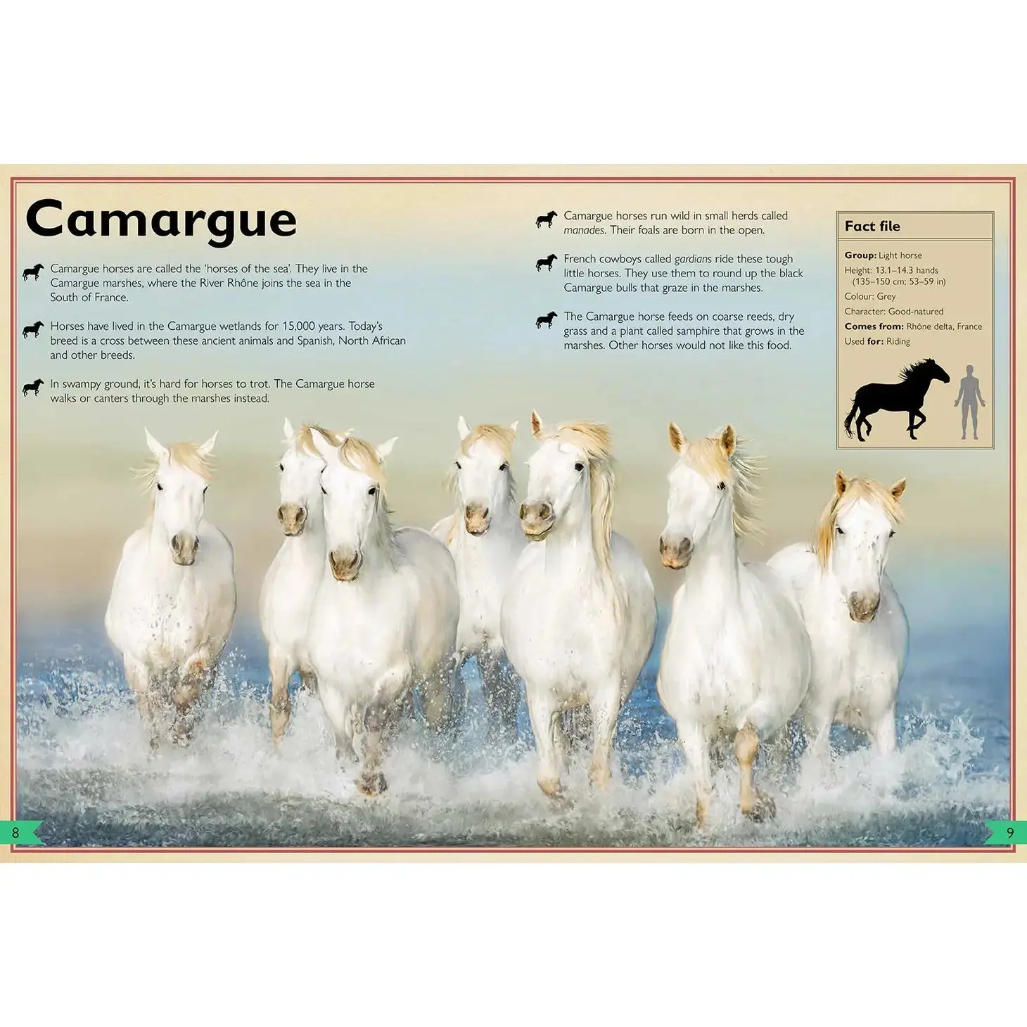 Magnificent Book of Horses - Image 6