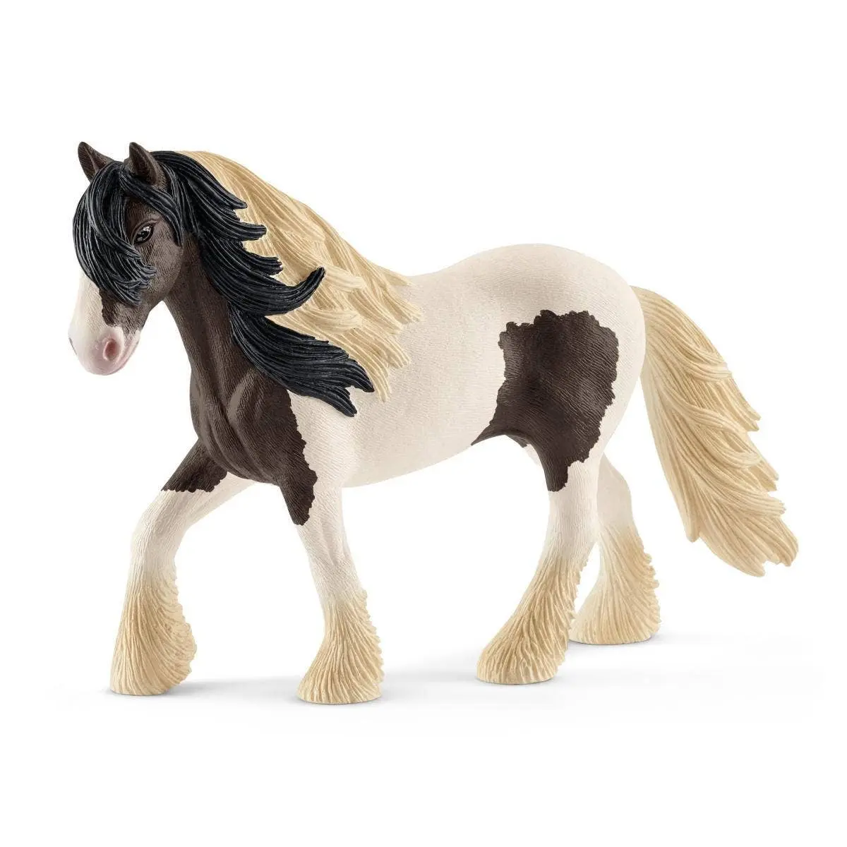 Gypsy Vanner Horse - Image 4