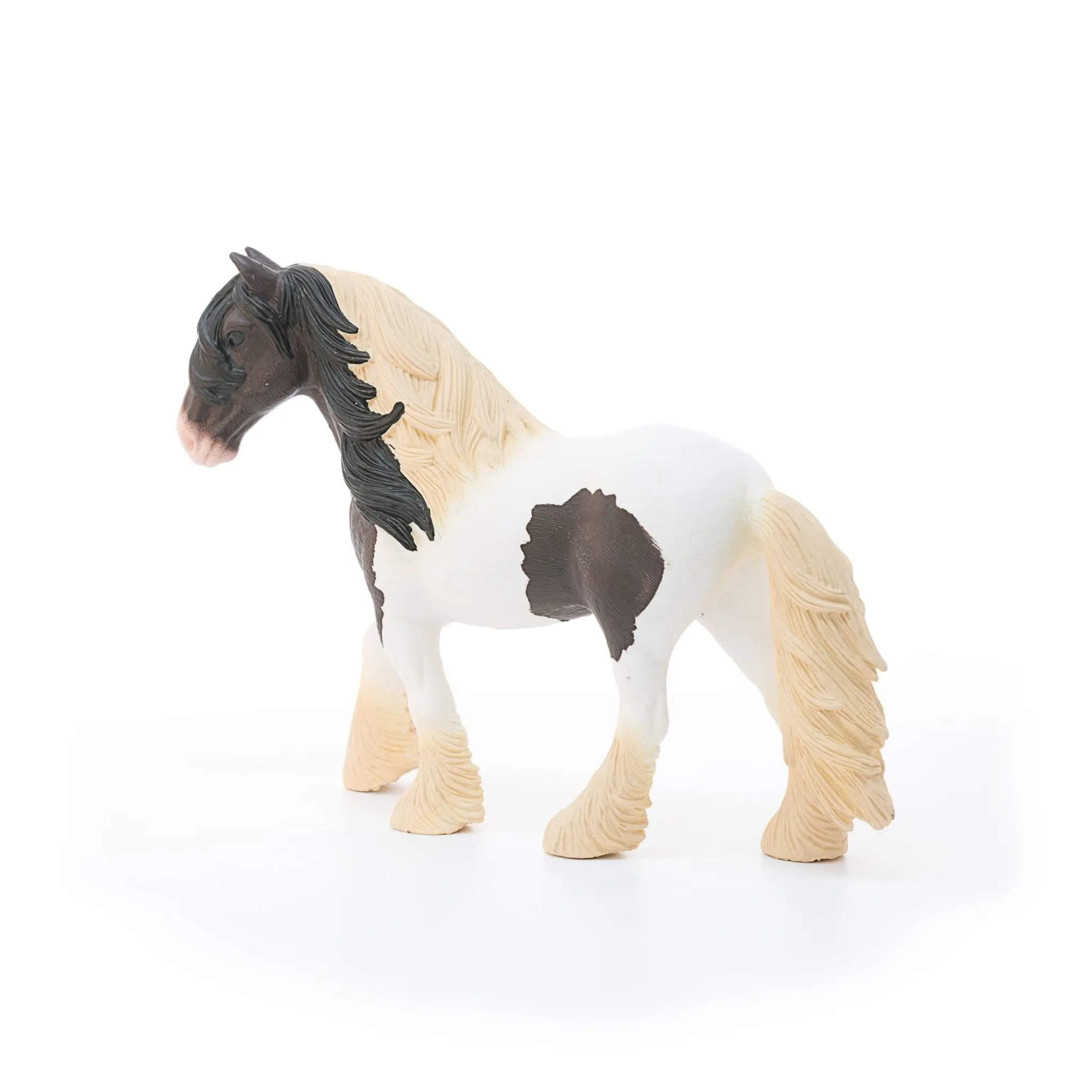 Gypsy Vanner Horse - Image 5