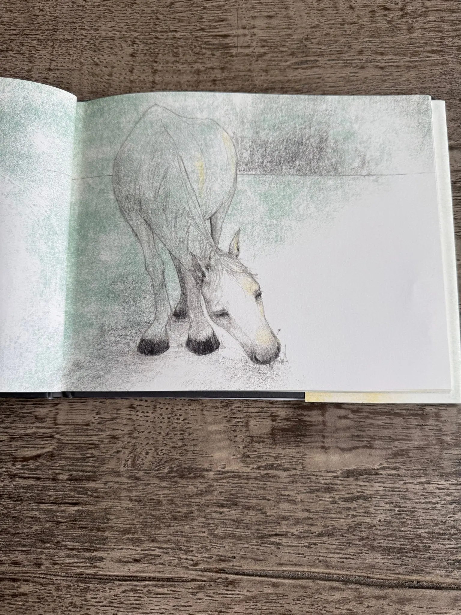 Tony The Horse Book - Image 2