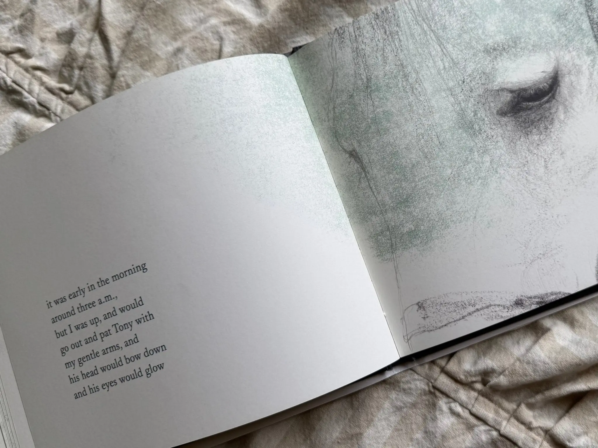 Tony The Horse Book - Image 3