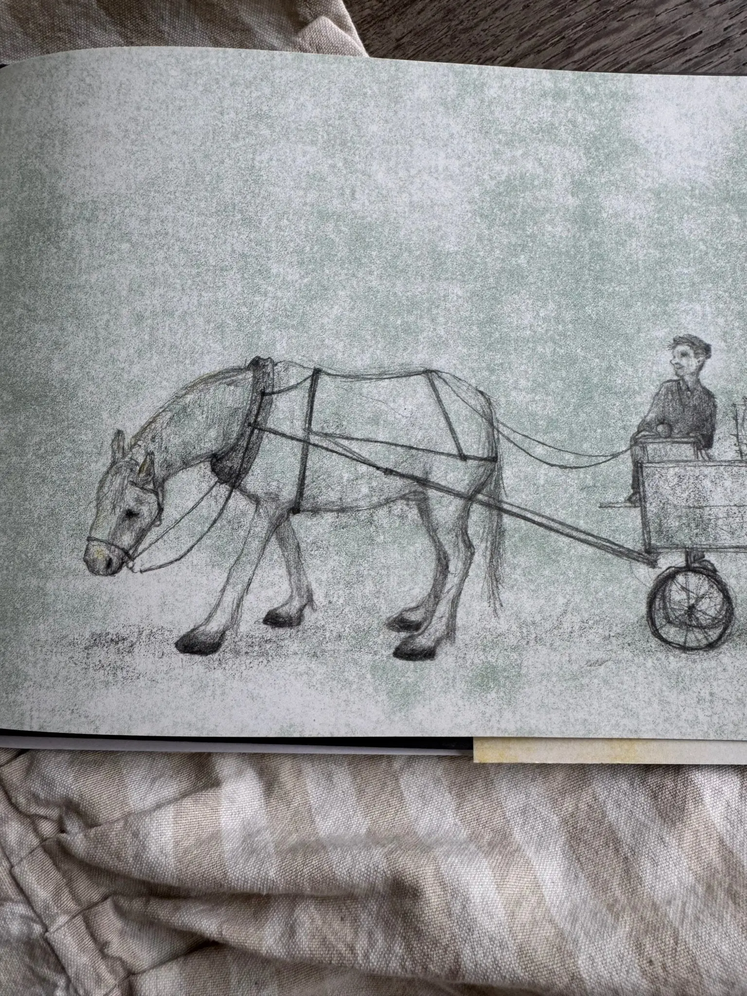 Tony The Horse Book - Image 5