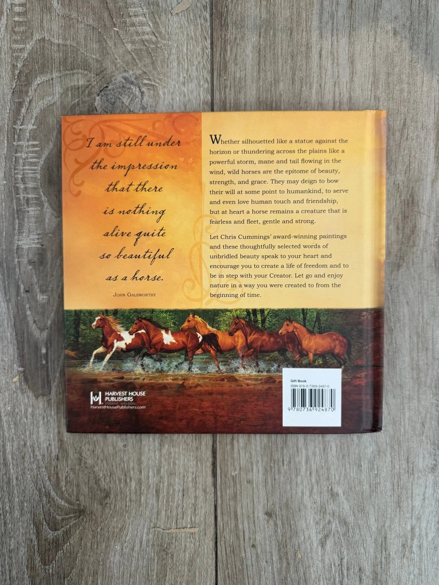 Unbridled Beauty: Celebrating the Spirit of Horses - Image 2