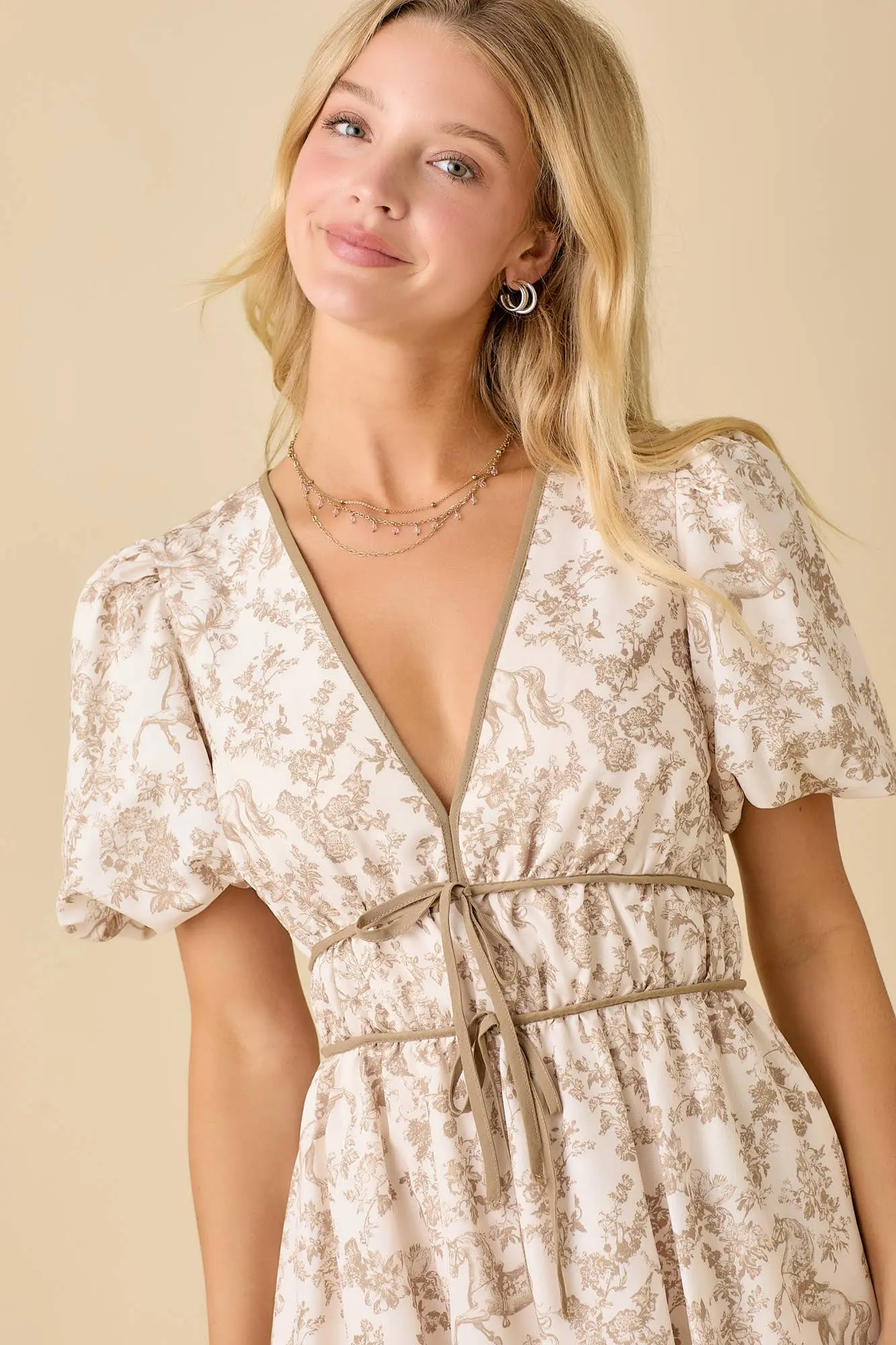 Vintage Horse Toile Dress - Image 9