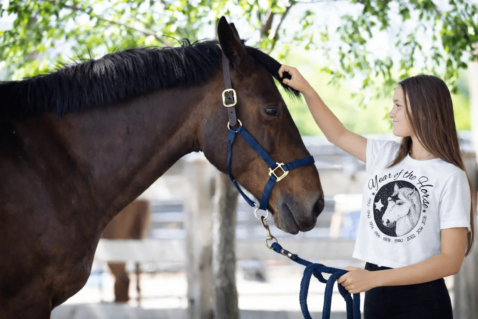 Year of the Horse Cropped T-Shirt - Image 5